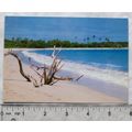 1990 postcard Sandy Beach & Blue Sea, Fiji