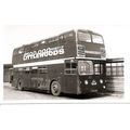 Black & White Photograph of Western Welsh Omnib...