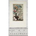 1908 postcard Glad Birthday Greetings
