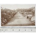 vintage postcard Herbacious Border Sandringham