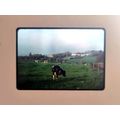 Vintage 80s Analogue Kodachrome Photo Slide, En...