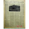 PEAS A MILE ABOVE SEA LEVEL 1918 Utah farming c...