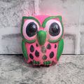 Watermelon Owl Bath Bomb[ ]