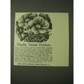 1900 John Lewis Childs Oxalis, Grand Duchess Fl...