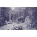 A658 ABERYSTWITH - CWM WOODS