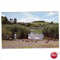SLAPTON LEY TORCROSS DEVON POSTCARD M0043