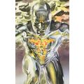 The Human Torch in Silver Surfer Skin Marvel Co...