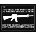 2nd Amendment Ain't About Shooting A Deer 9x12 ...