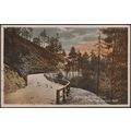 Wyming Brook Drive, Sheffield, Yorkshire, 1914 ...