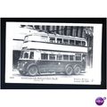 Warwickshire BIRMINGHAM Trolleybus 50 Postcard ...