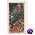 1961 Brooke Bond Tea card TROPICAL BIRDS No.39 ...