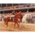 DVD - SWAPS/Buckpasser/KELSO/Northern Dancer/MA...