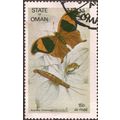 OMAN, BUTTERFLY, Arpidea Chorinaea, beige 1972,...
