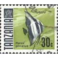 TANZANIA, FISH, Dusky Batfish, Platax pinnatus,...