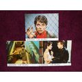 CAT PEOPLE (1982) original, vintage US FOH / Lo...