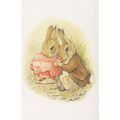 The Tale of Benjamin Bunny & Peter Rabbit Beatr...