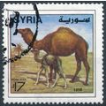 Camels - Syria 1998 - FH - MiNr 2024