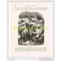 COTTON OPERATIVES AT BOMBAY (MUMBAI), INDIA, Bo...