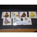 2013 7 BUTTERFLIES STAMPS USED UNFRANKED