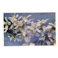BLOSSOM unused antique postcard by W. e. Mack o...
