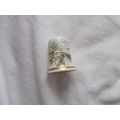 DAISEYS WHITE (16/10) #