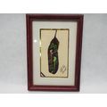 Unique Original Painting on a Feather Parrot By...