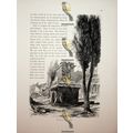 Street Of Tombs, Pompeii, Italy, Book Illustrat...