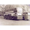 Black & White Photograph of King Alfred Motor S...