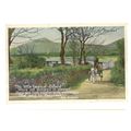 THE LITTLE LANES OF IRELAND used vintage postca...