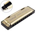 10 Holes 20 Tone Matte Gold/Black Portable Harm...