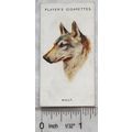 1927 John Player & Sons Wild Animals Heads No. ...
