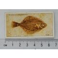 1935 Players Sea Fishes No. 45 Dab