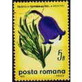 Romania. 1970 5b S.G.3700 Used