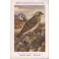 Belgium PC - Musee Royal D'Historie Naturelle d...