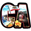 California The Golden State Artwood Initial Fri...
