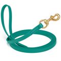 Dog Pet Leash Blue Aqua w/ Brass Hardware W 5/8...