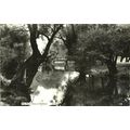 BEDFORD River Ouse Postcard (3331)