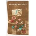 Vintage Greetings postcard - Loving Birthday Wi...