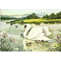 Art HELEN BABINGTON The River In Summertime Pos...