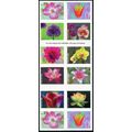 5567a, MNH - Pane With Misperf Freak Error * St...