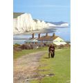 D026453 The Seven Sisters. Seaford. Janon