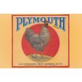 San Fernando Fruit Growers Assoc Plymouth Advertising Postcard