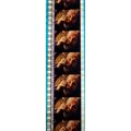 Pk DAU - B - MIX - c 059G . - 1 STRIP OF 5 - 35...