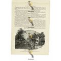 Villagers Coming To Church, Victorian Book Illu...