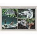 Claw Island Busch Gardens Multiview Florida Uni...
