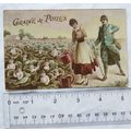 vintage French postcard Graine de Poilus