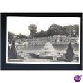 Surrey GUILDFORD Lido Postcard by Salmon (16309)