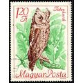 Hungary 1968 Bird 1.20ft Used Stamp Owl
