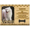 Samoyed Engraved Wood Picture Frame Magnet