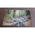 Jarrold Postcard - Ballaglass Glen, Isle of Man